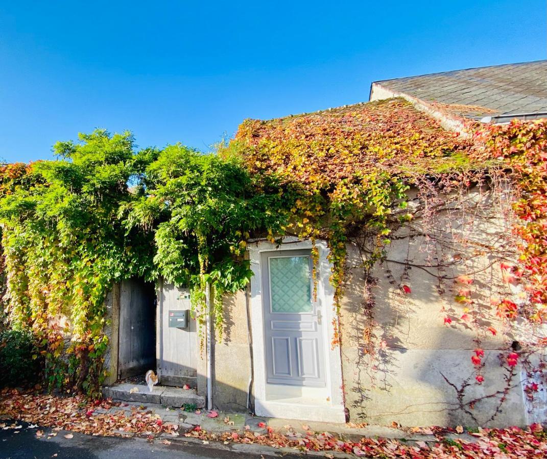 Le Secret De Clamecy Villa Selles-sur-Cher Esterno foto